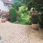 Superbe Maison Avec Jardin Magnifique! Schiltigheim