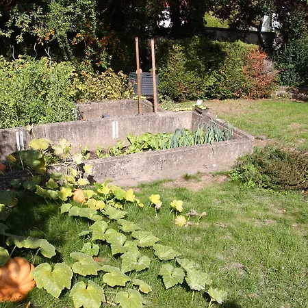 Holiday home Superbe Maison Avec Jardin Magnifique!