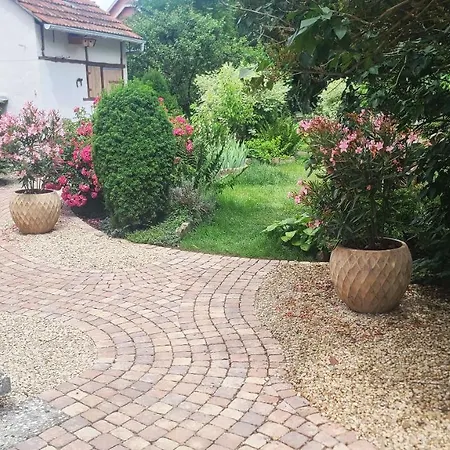 Superbe Maison Avec Jardin Magnifique! Schiltigheim