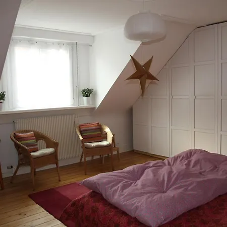 Superbe Maison Avec Jardin Magnifique! * Schiltigheim